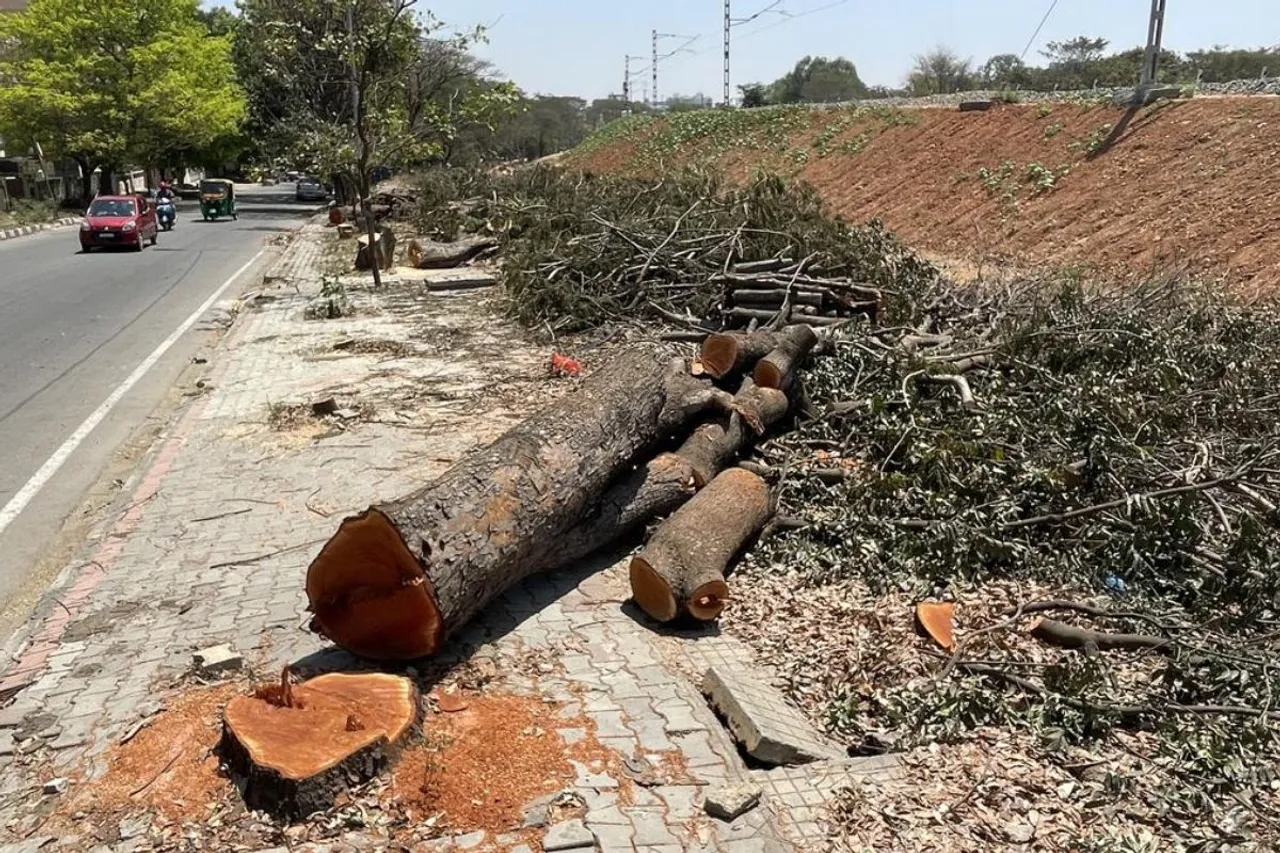 32572 Trees to be cut for Bangalore Suburban Railway Project