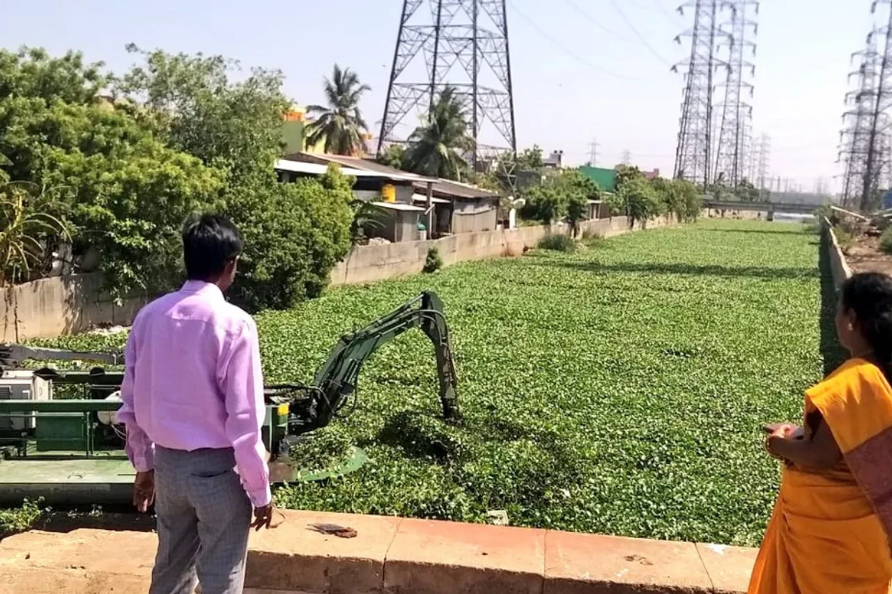removing hyacinth in cooum river