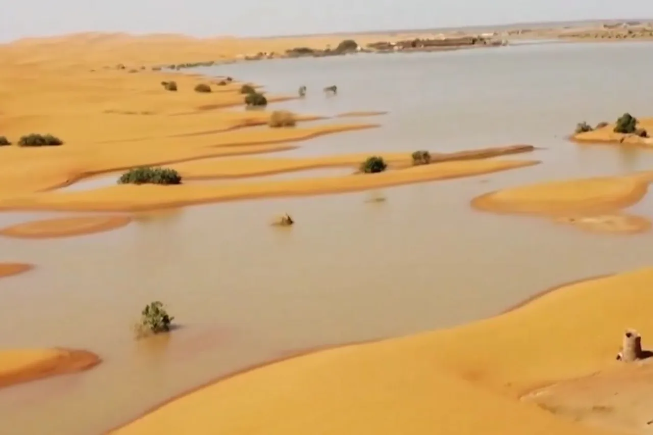 Sahara Desert flood12