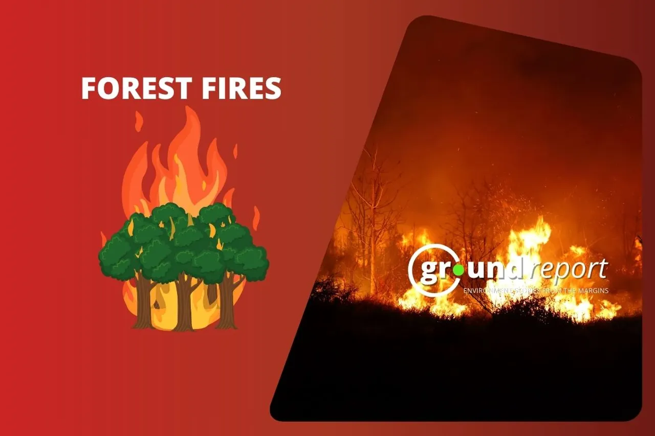 Live forest fire updates