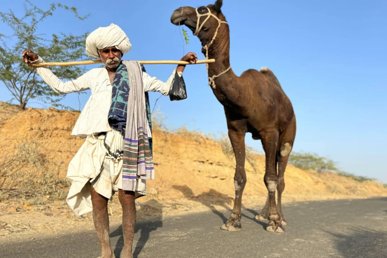 246M more elderly to face deadly heat by 2050, Asia & Africa at risk