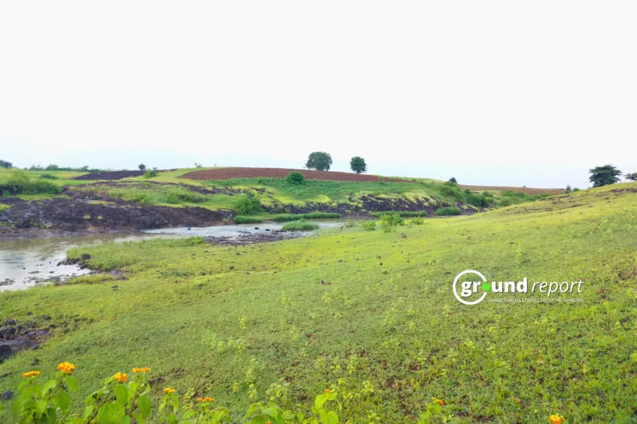 Ramtil Niger Farming in Mandla