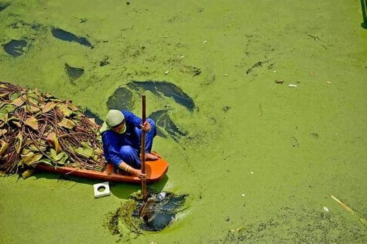 Kashmir's picturesque Dal lake losing charm as pollution and sewage level spike