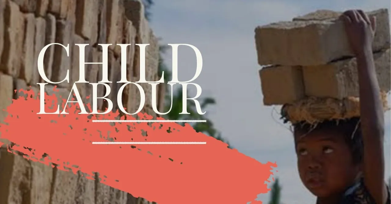 Child Labour In Kashmir Raising Concerns