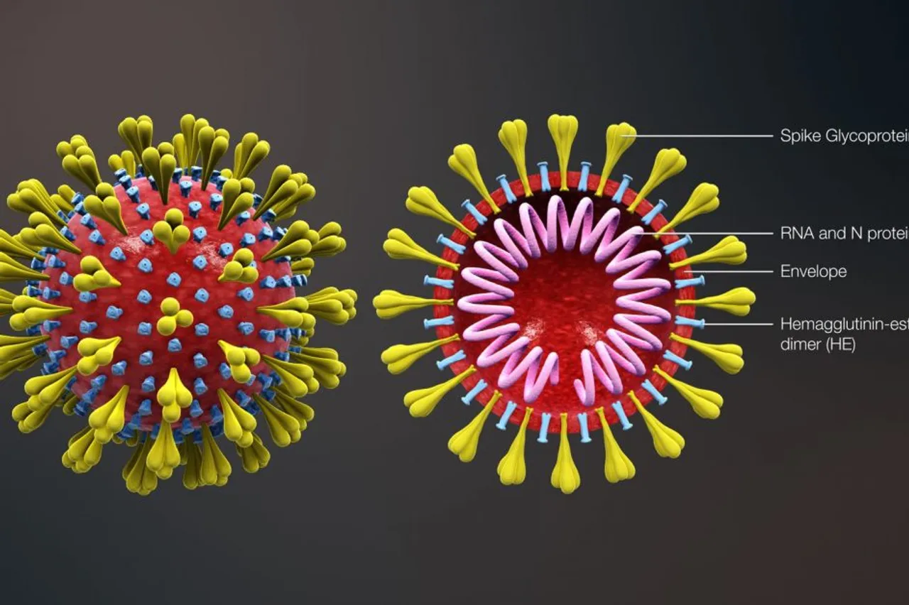 Corona Virus India