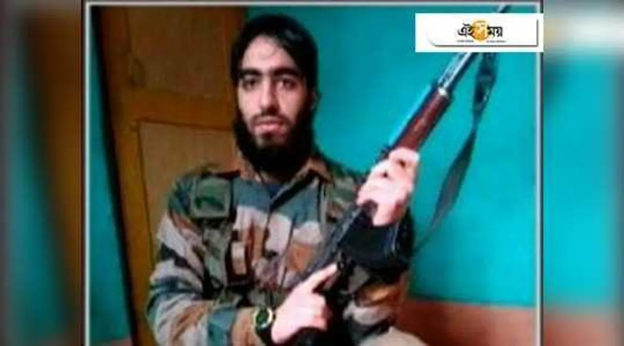 who is new commander of hizbul after naikoo in valley