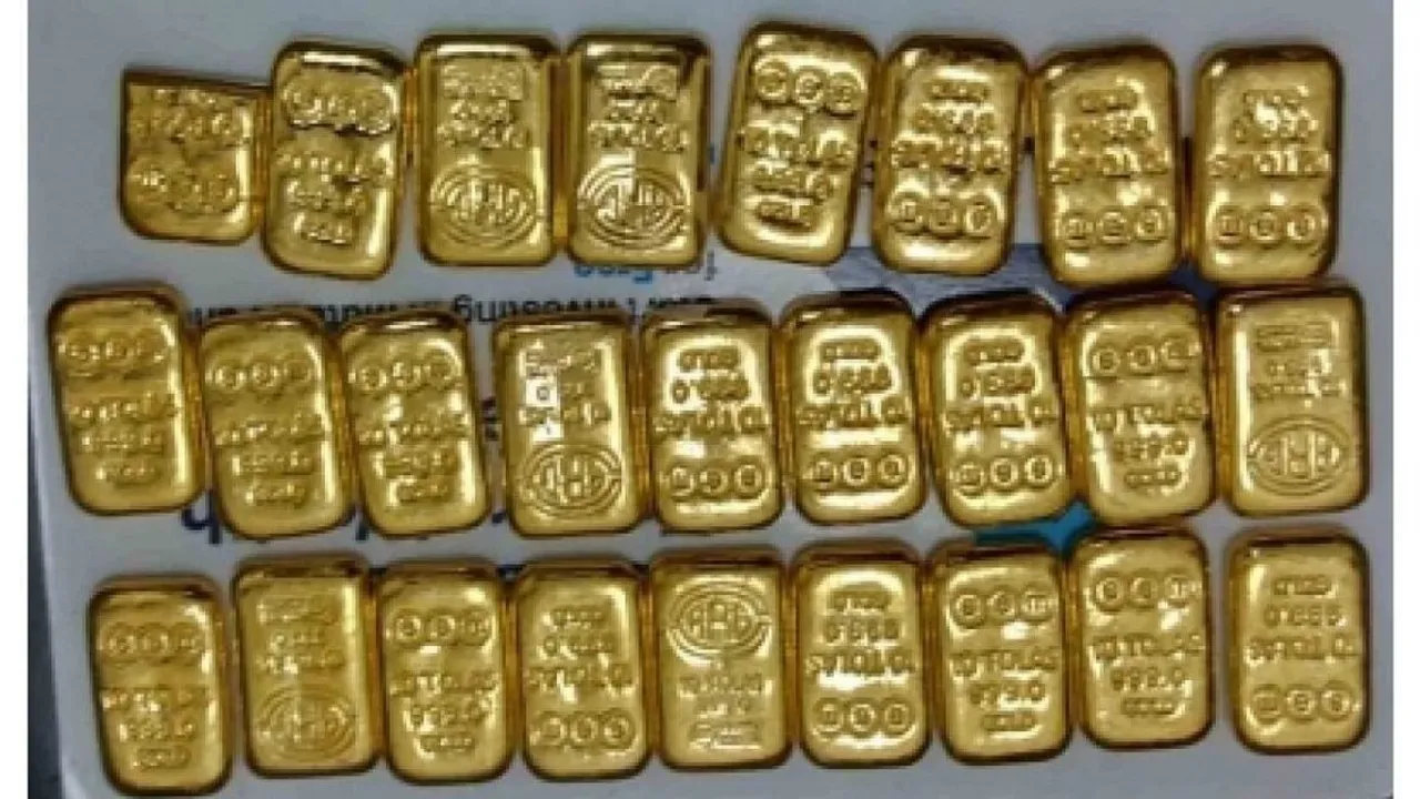 Kerala Gold Smuggling: NIA Arrests 2 More Persons and opposes bail plea of Swapna Sures