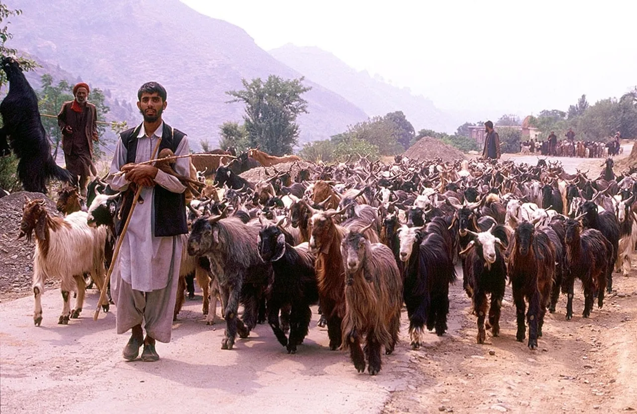 Kashmir Nomads Gujjar and Bakkerwals