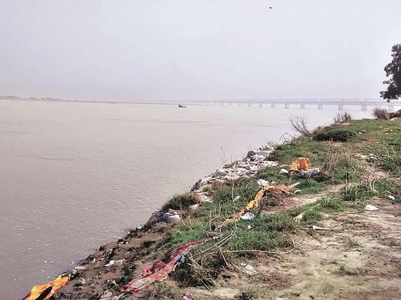 Bihar: Over 150 dead bodies of Covid fatalities dumped in river Ganga
