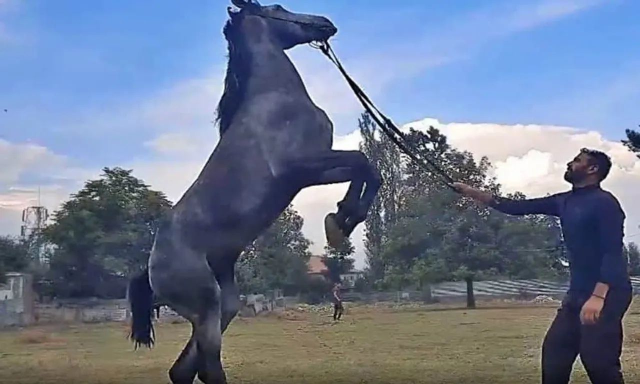 First Horse riding school in Kashmir