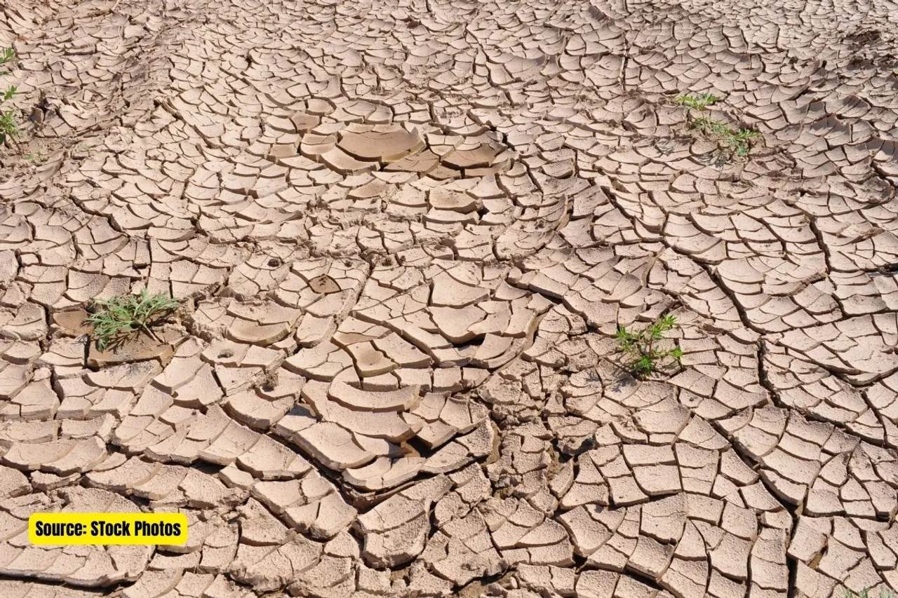 Bengal affected by erosion