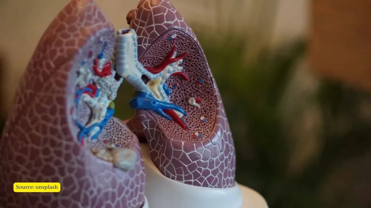 Scientists found plastics in human lungs