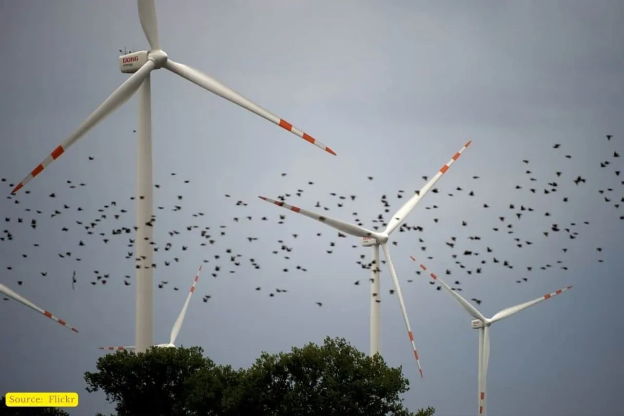 Windmills, power generation, bird fatality, and ways to mitigate issue