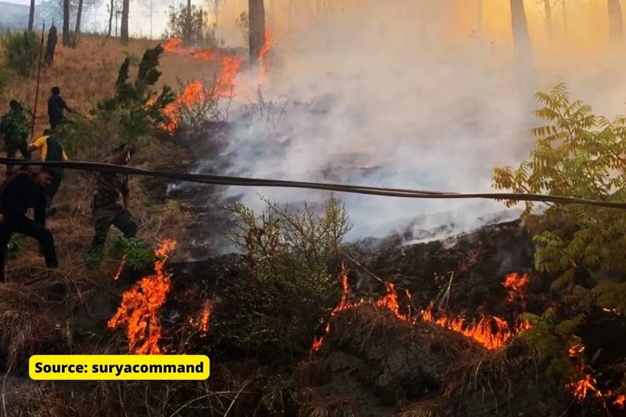 Chile forest fires claim 22 lives so far, spreads amid heat wave