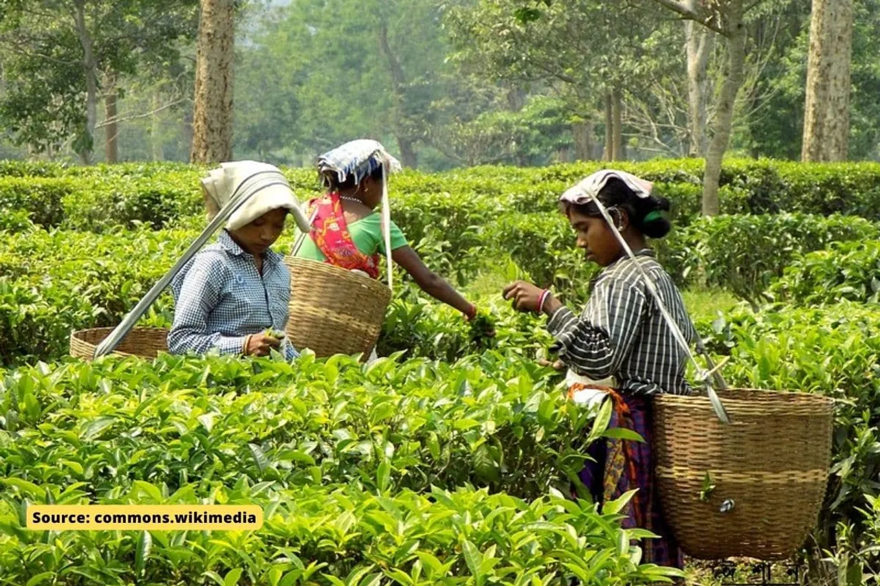 Why police intimidating Assam tea workers amid floods?