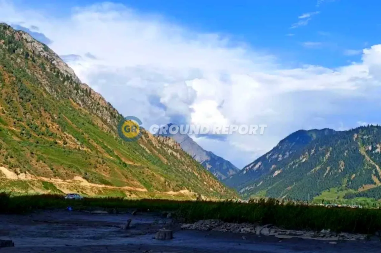 Traditional Medicinal Plants from Gurez Valley