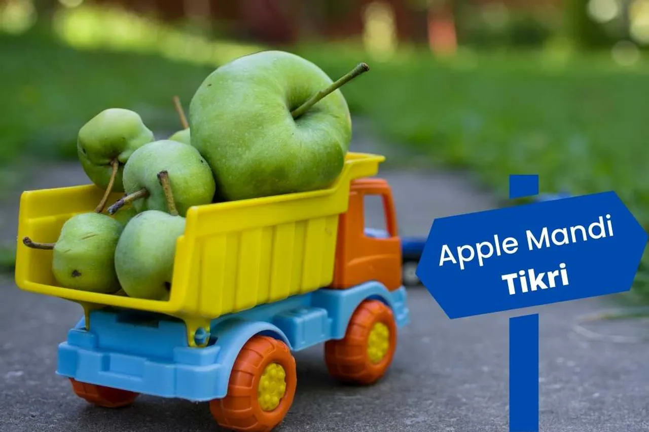 Apple Mandi Tikri