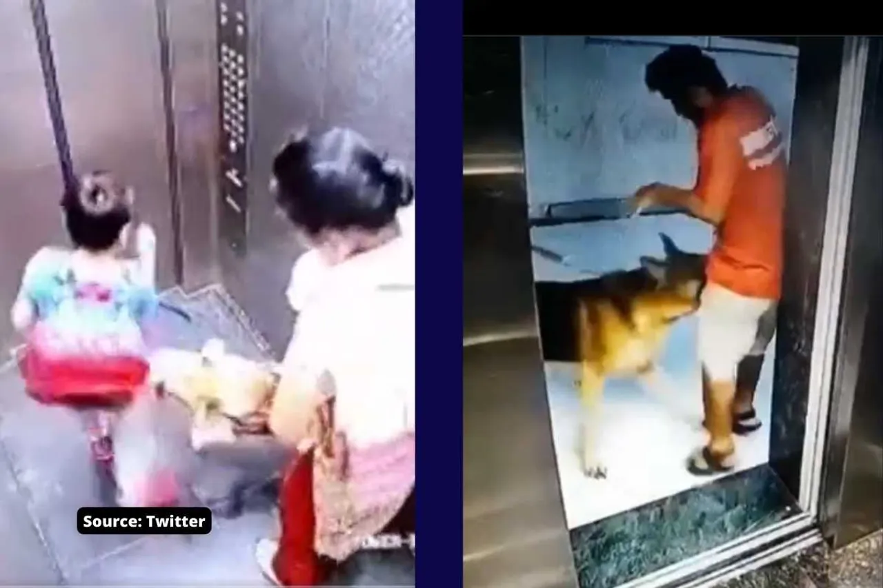 dog in the elevator how to save yourself from dog attack