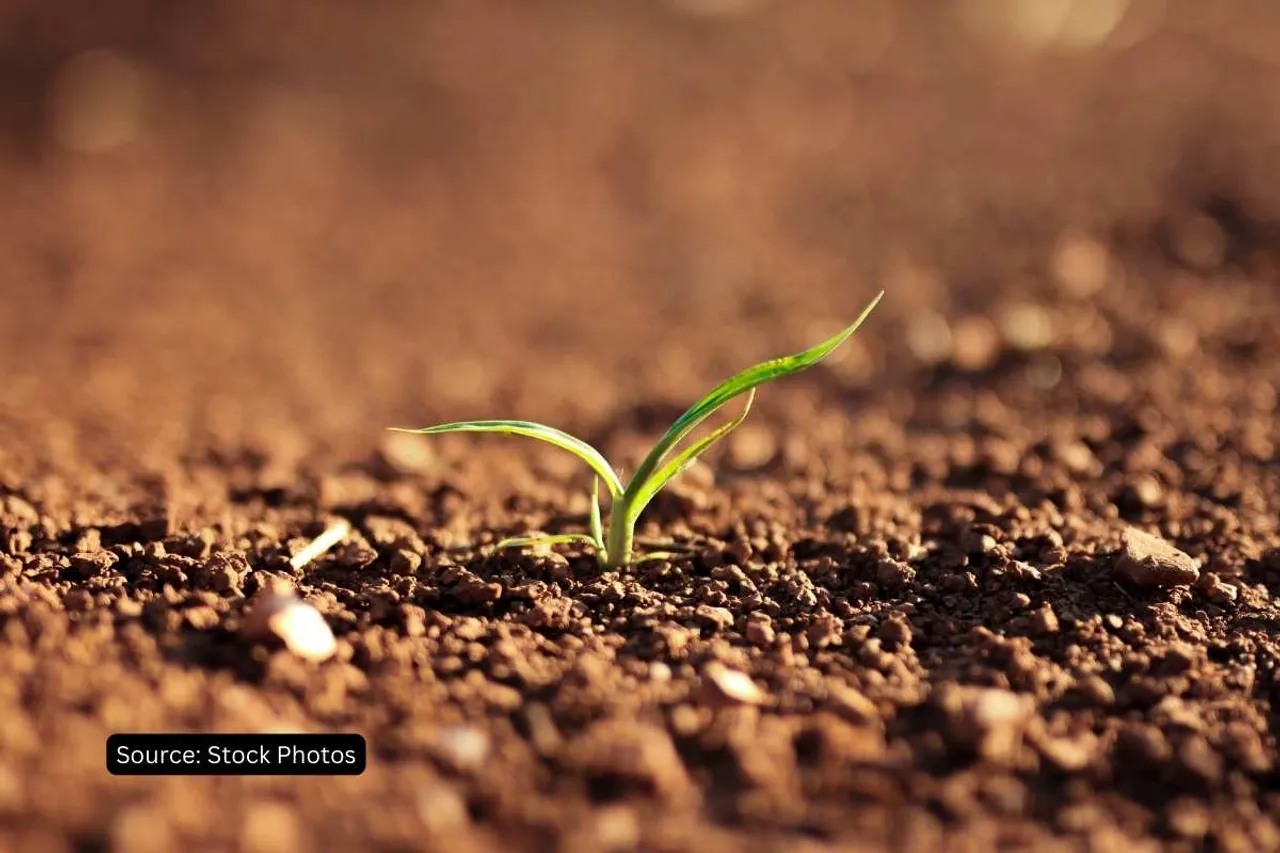 why soil is important