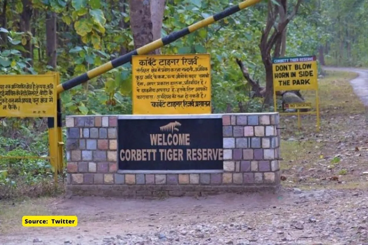 6000 trees illegally cut by Uttarakhand govt in Corbett tiger