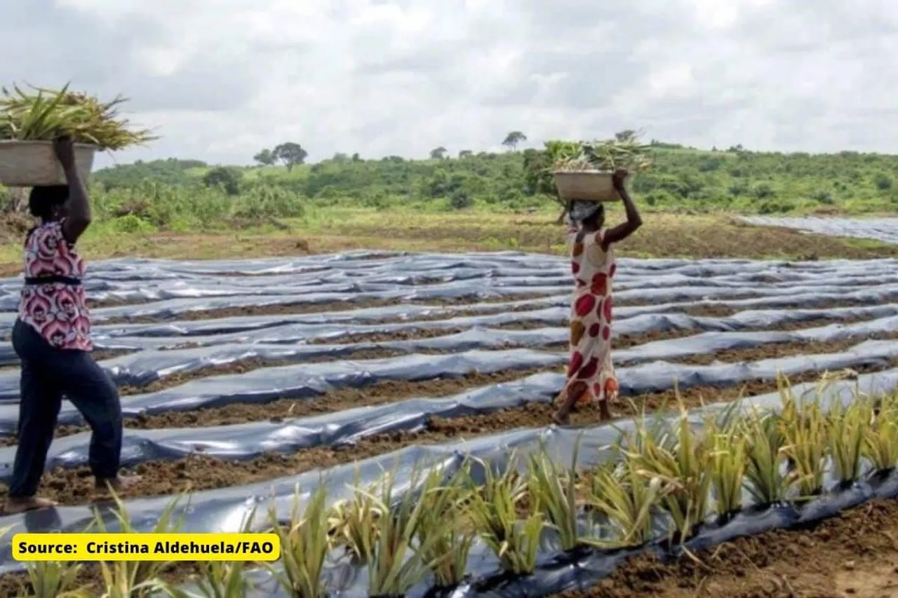 Plastic leaching into farmer’s fields at alarming rate