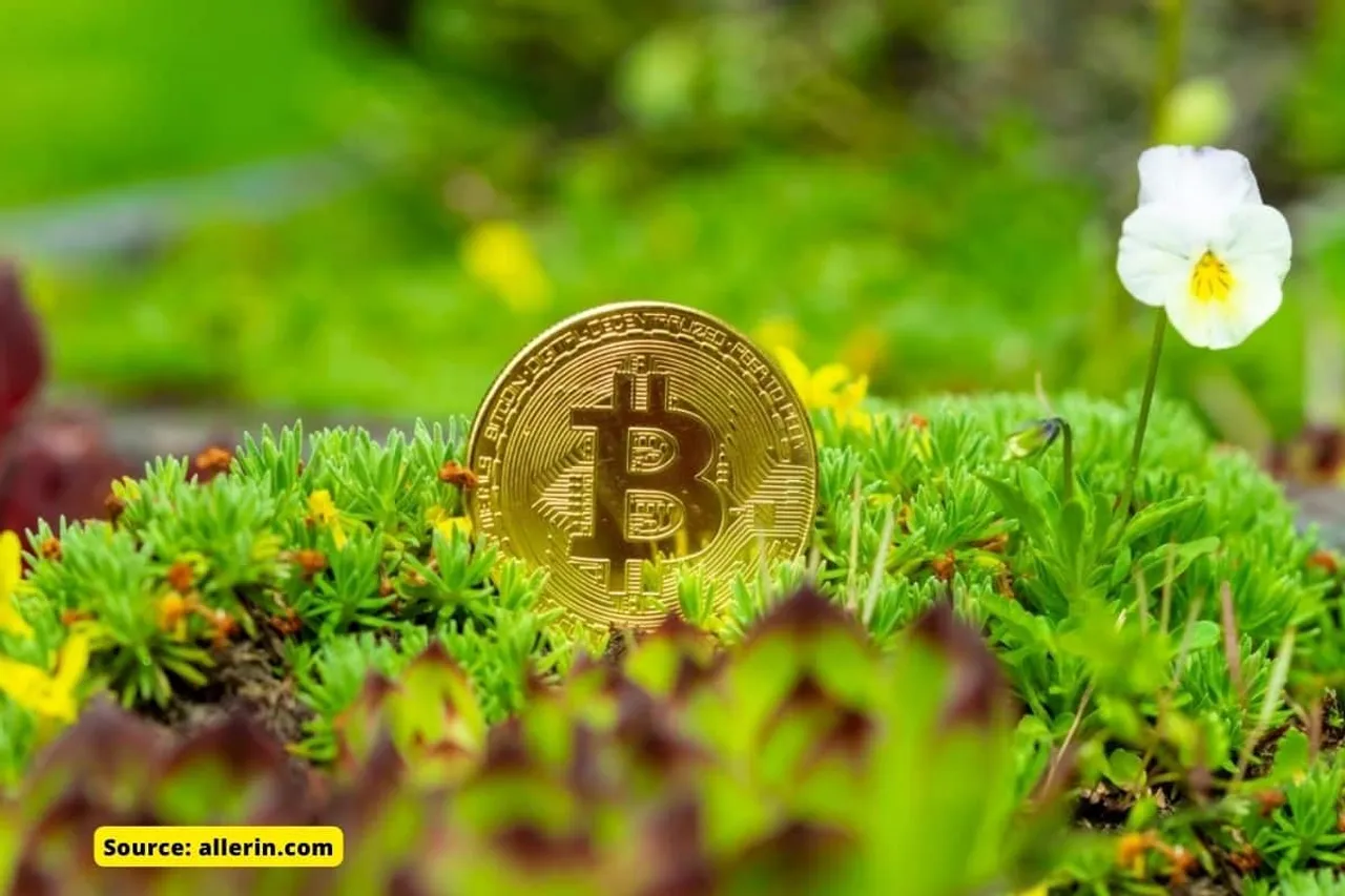 What Is the Environmental Impact of Cryptocurrency?