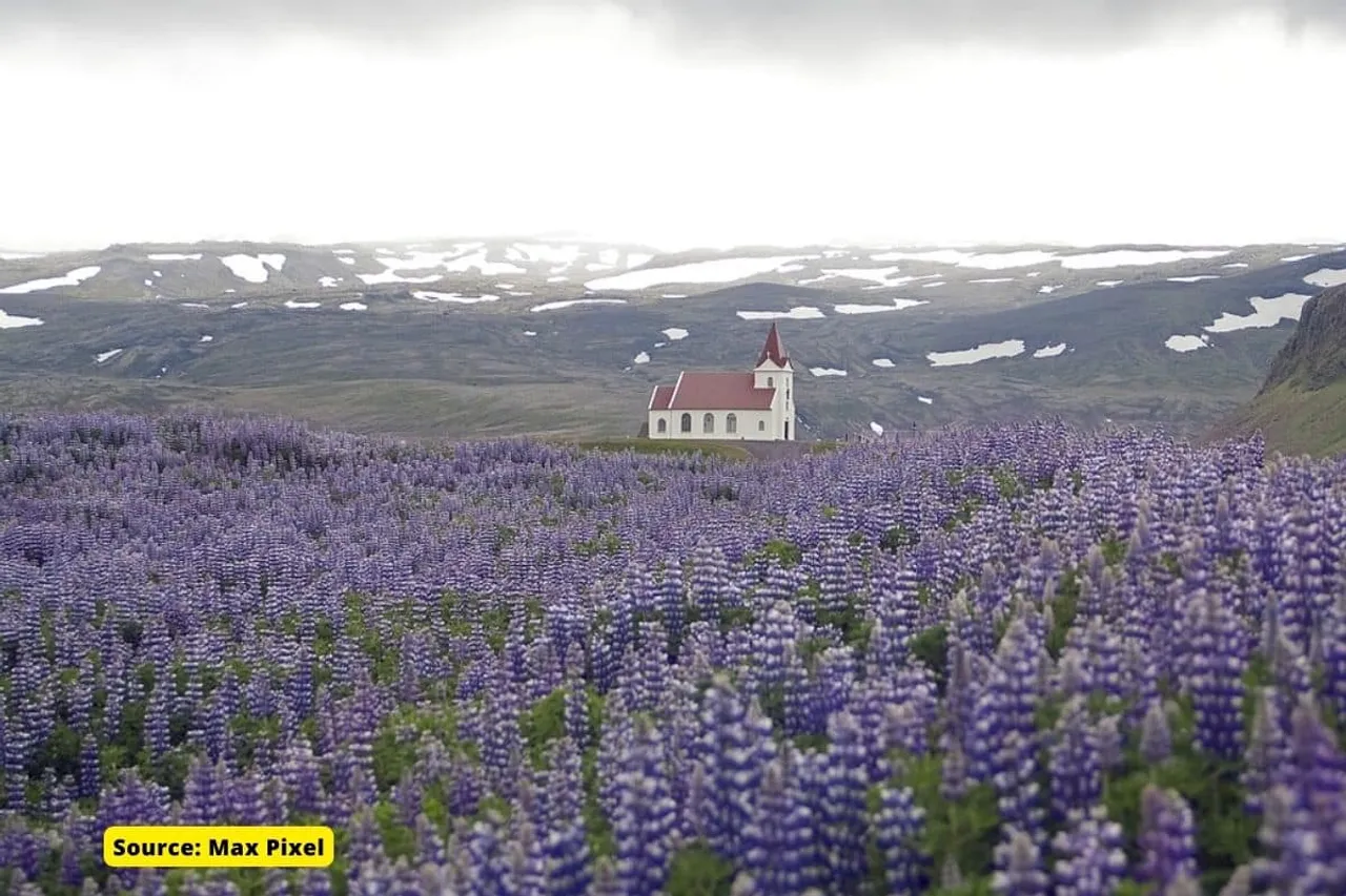Why Iceland is turning Purple?