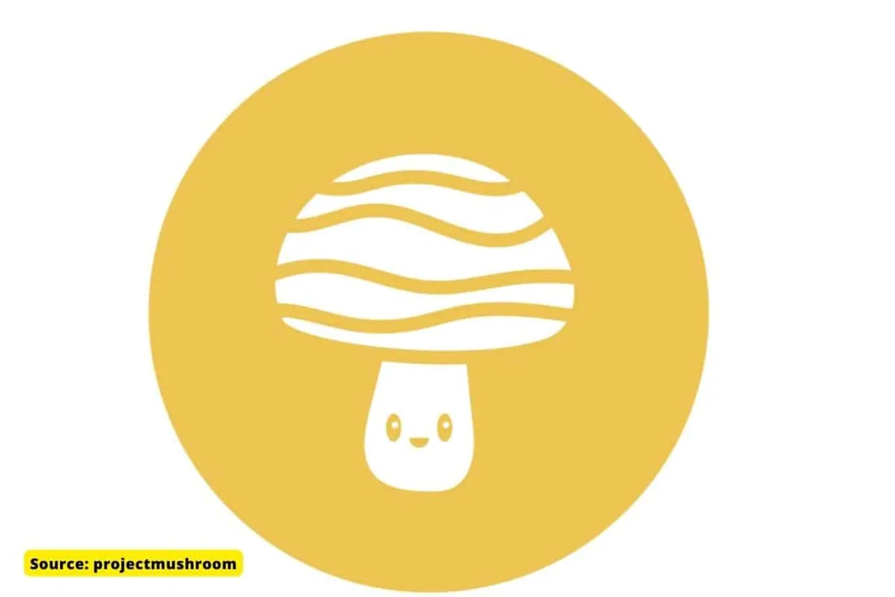 What is Project Mushroom aiming to replace Twitter?