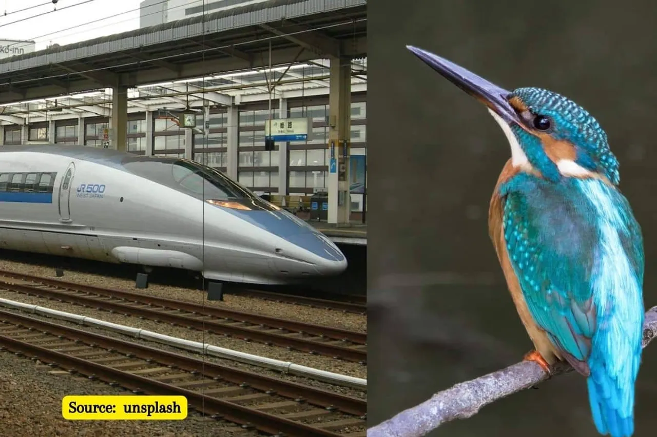How did the kingfisher inspired the bullet train?