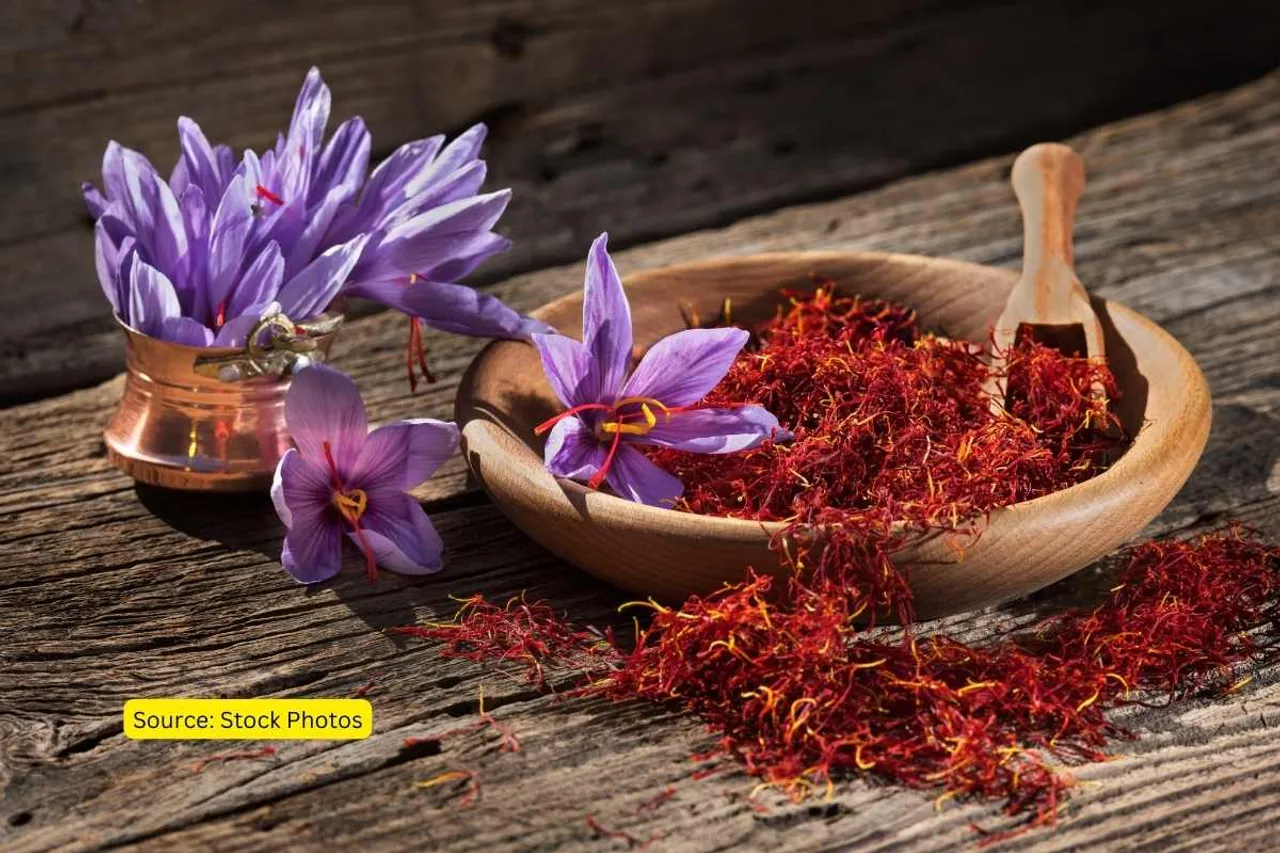 Indoor Saffron Cultivation in Kashmir due to climate change