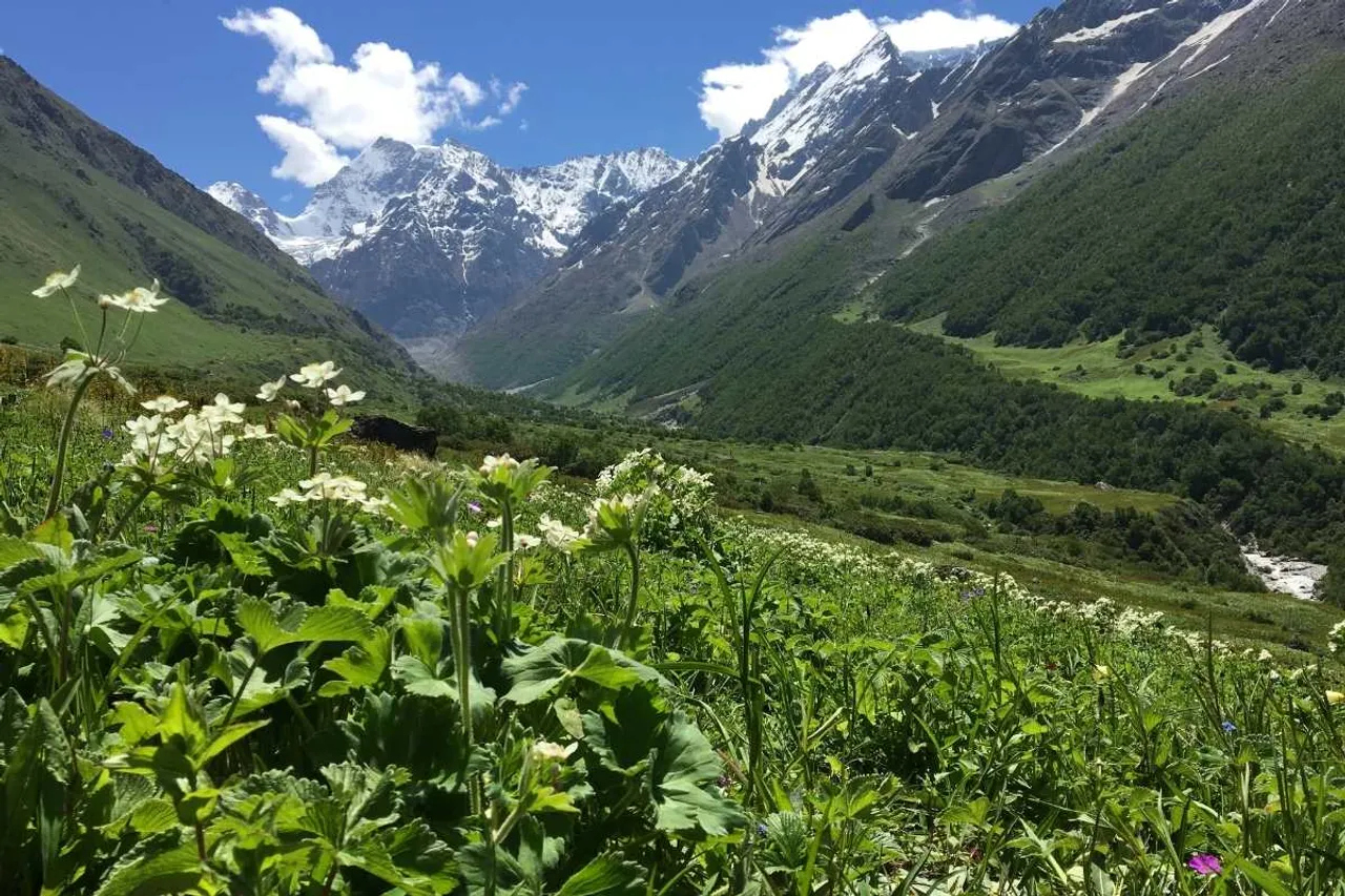 climate change and valley of flowers