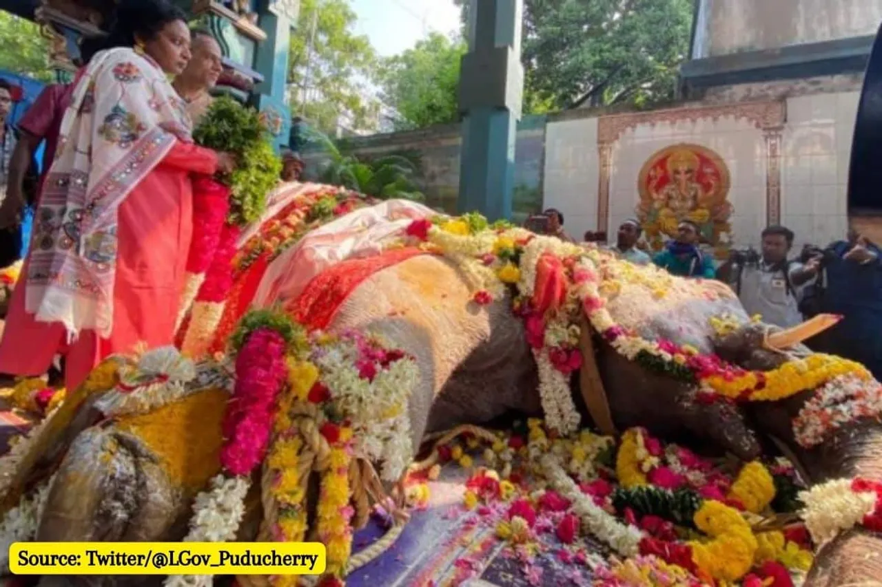 Puducherry temple elephant 'Lakshmi' collapses on road, dies