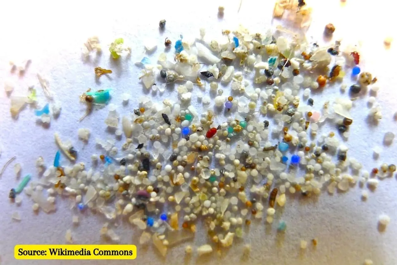 Microplastics can make other pollutants more harmful