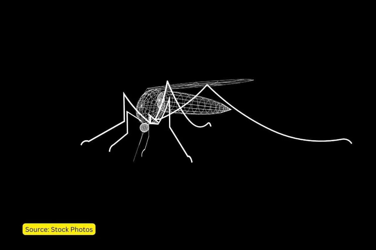 Bangalore mosquito menace: climate change & urbanization to blame?