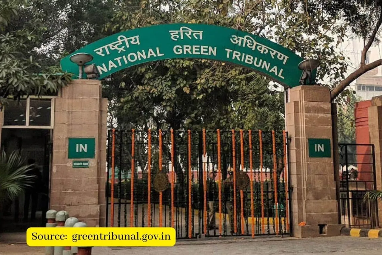 Cutting 1,300 trees for unity statue in MP’s Omkareshwar is illegal: NGT