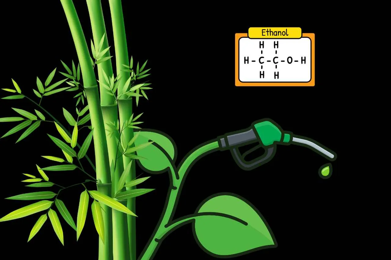 ethanol from bamboo