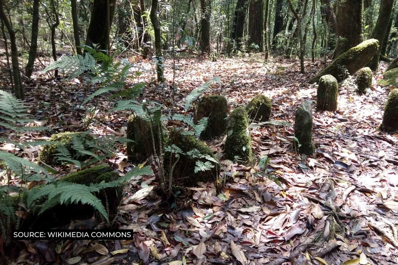 sacred grooves in india