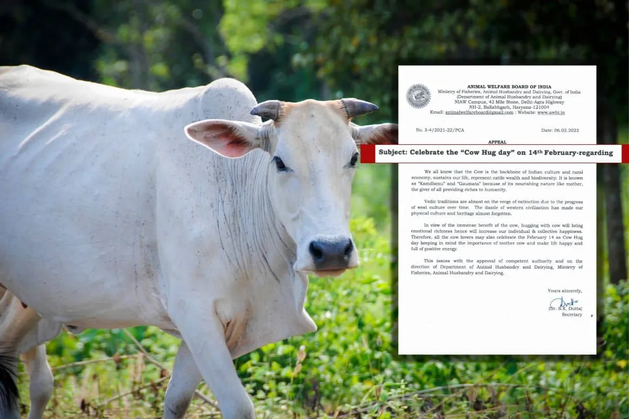 Cow standing in a green field