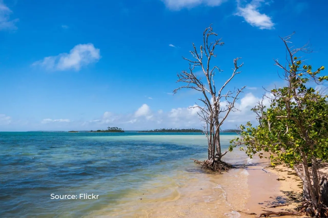 NGT Calls for urgent measures to protect Islands from rising sea levels