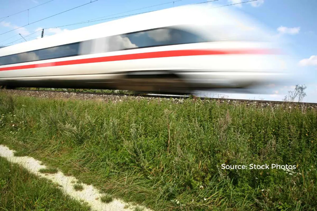 bombay high court on bullet train