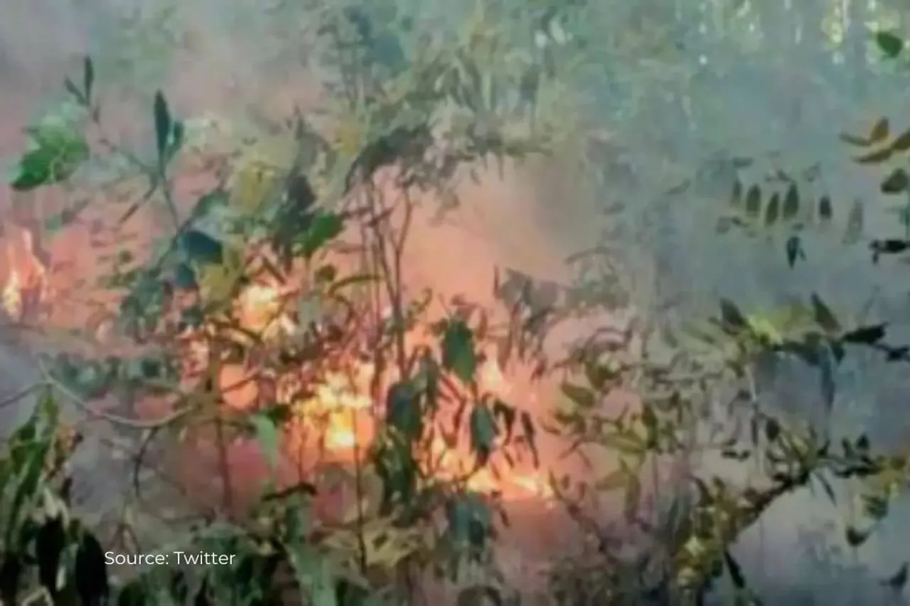Worst forest fire in Goa: Man-made or climate change disaster?