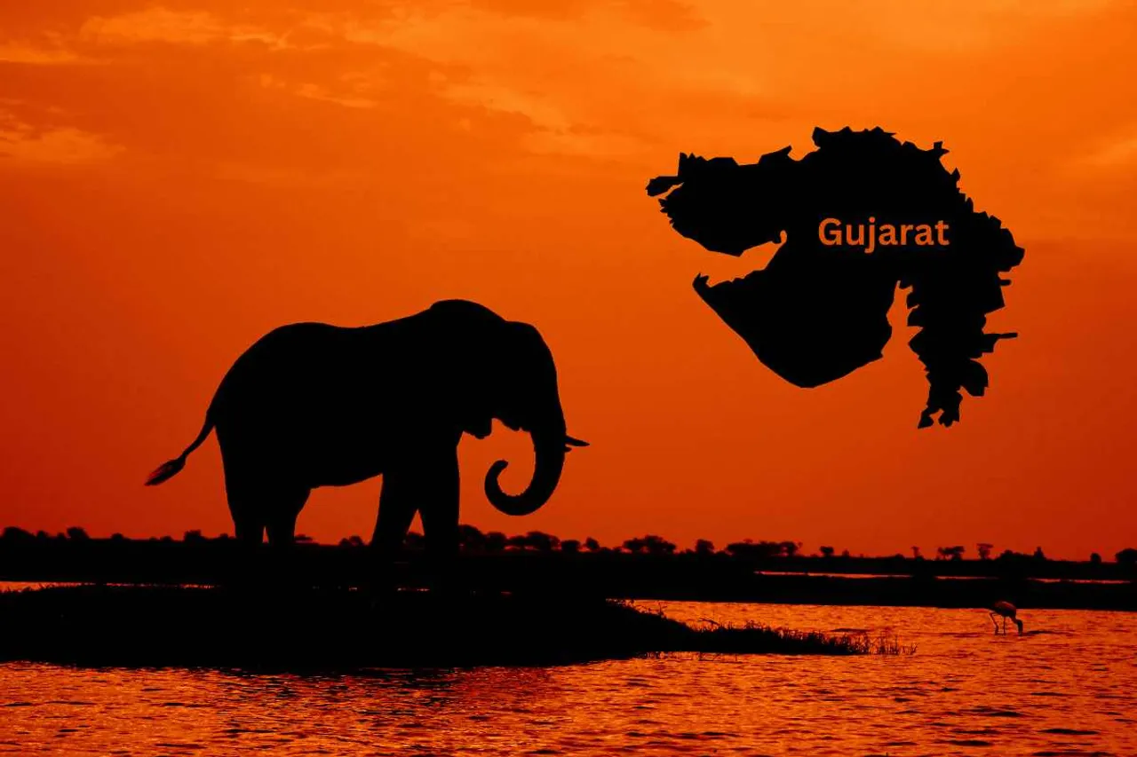 Arunachal elephant to be trafficked to Gujarat
