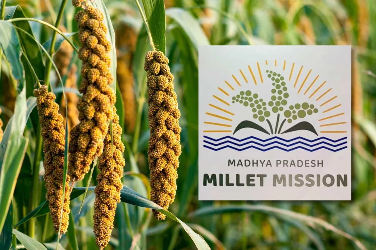 Madhya Pradesh millet mission