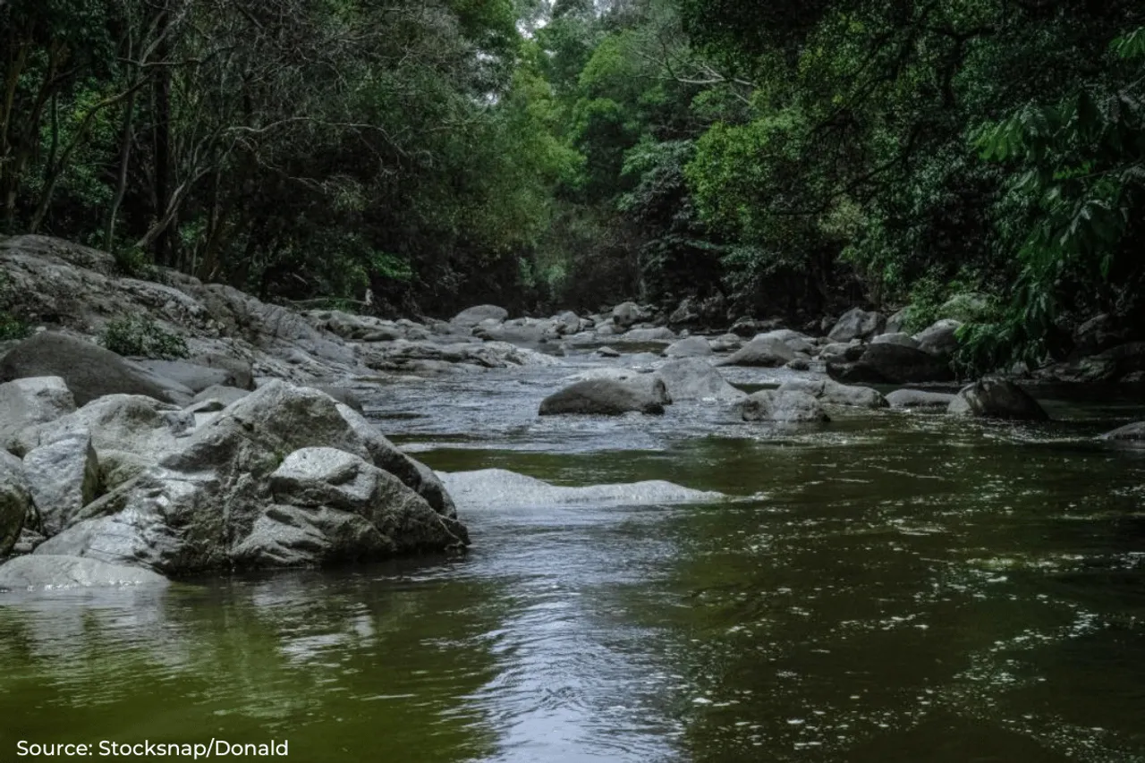 16% of India's water bodies unused, threatening water security