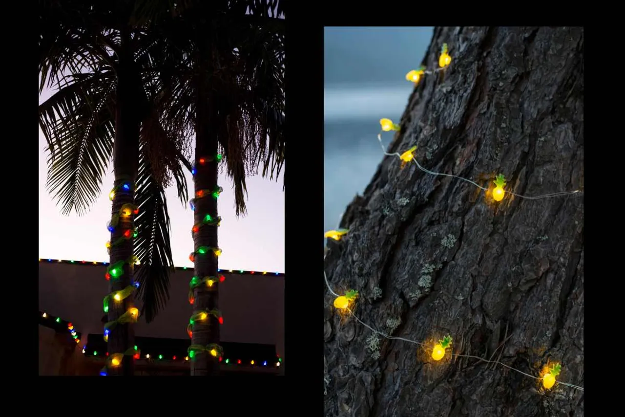 lights on trees and its impact on them