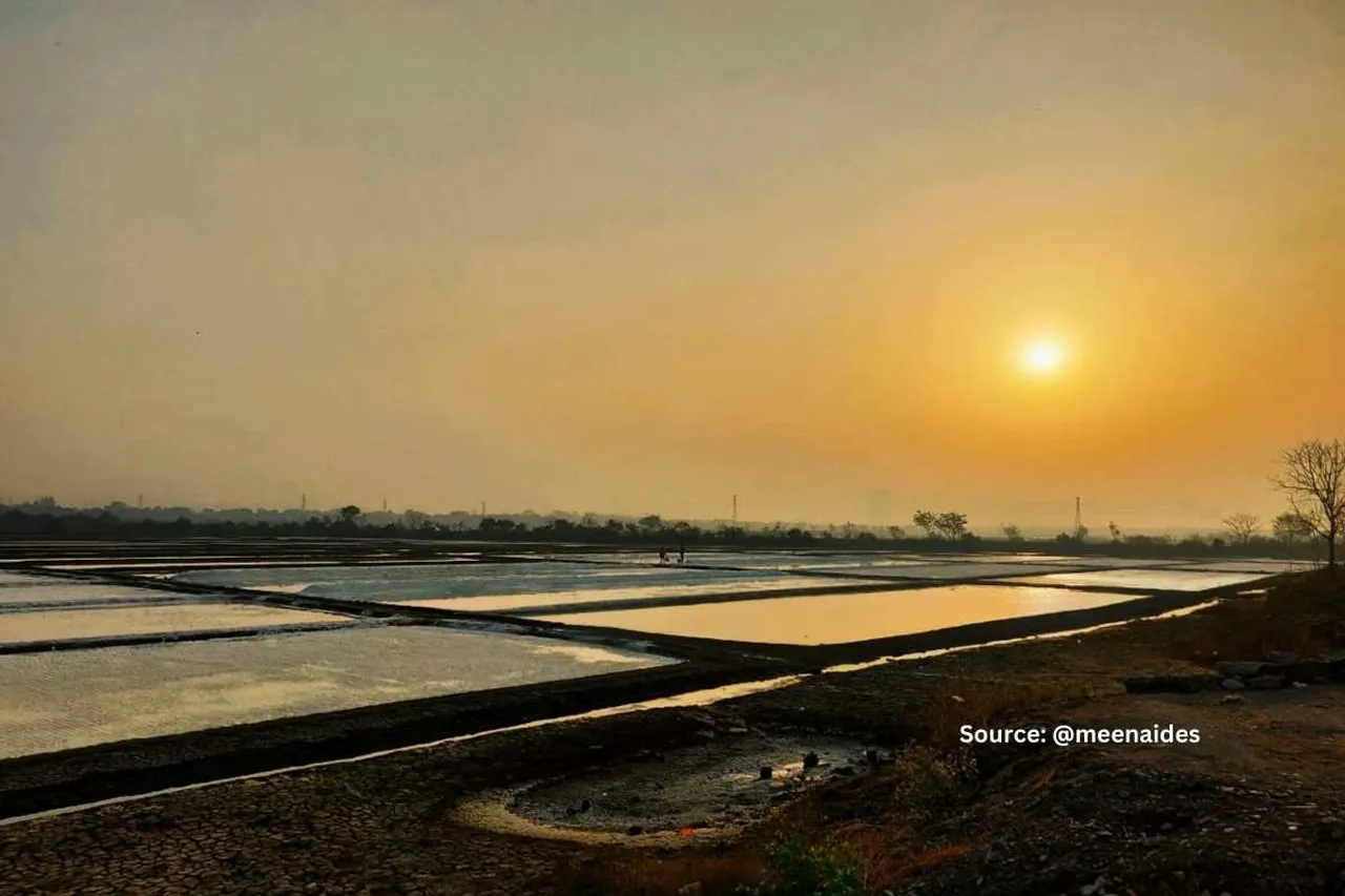 salt pan land for slum rehabilitation in mumbai