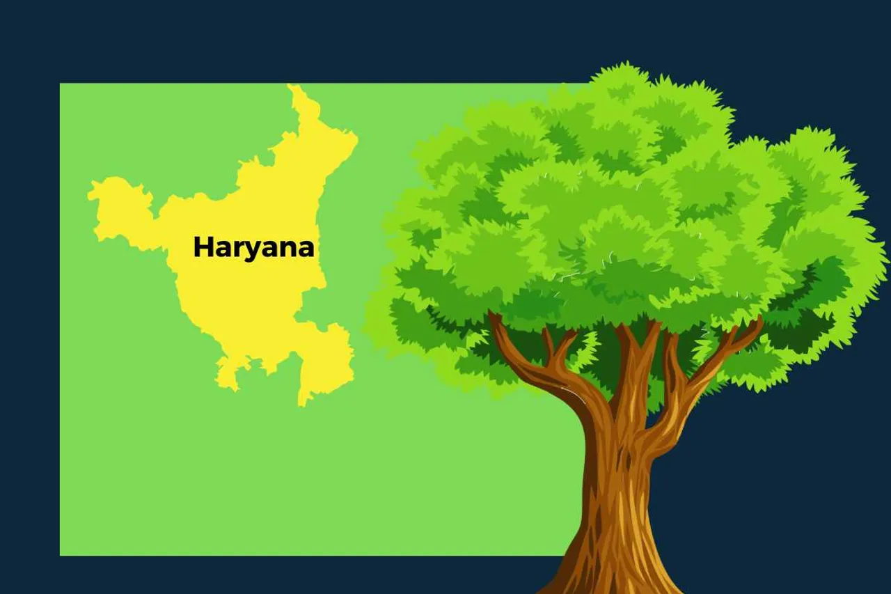 haryana's tree act to tackle decreasing green cover