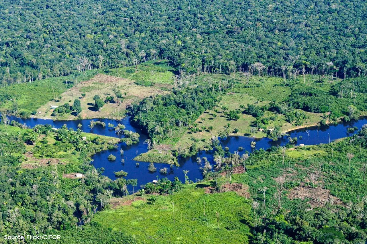 Ecosystems on brink of collapse, last generation to witness Amazon's beauty?