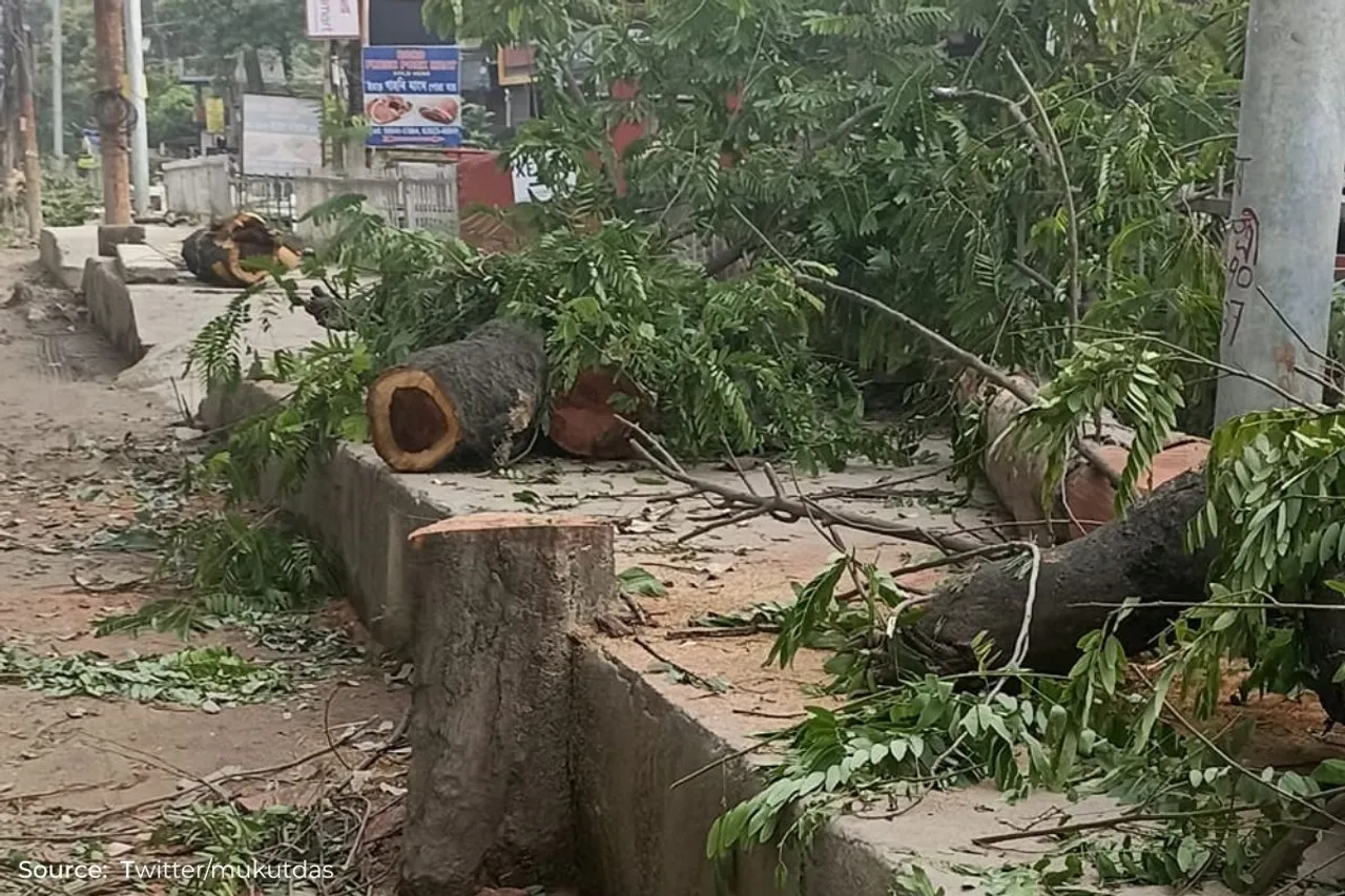 Guwahati: Narakasur hill tree felling controversy explained