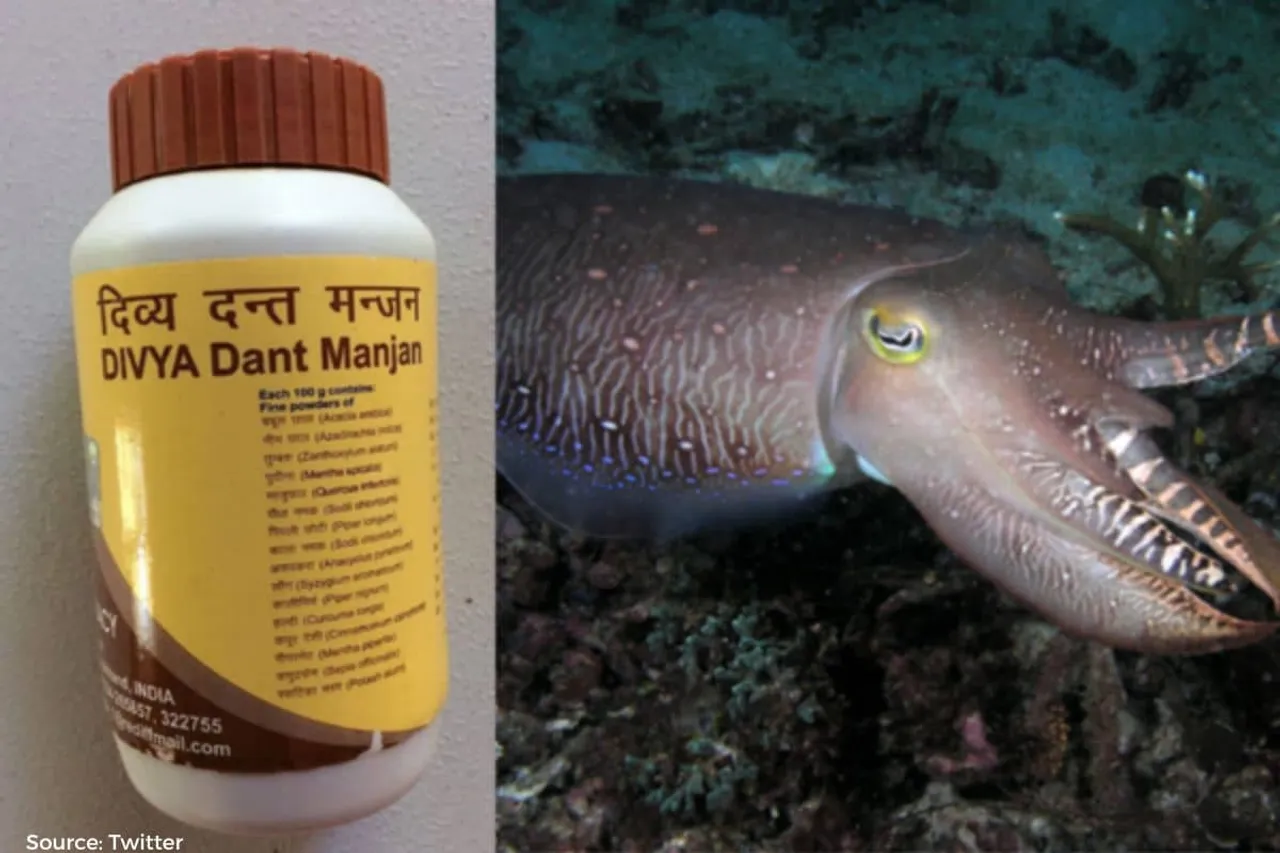 Patanjali accused of using cuttlefish in toothpaste, legal notice served